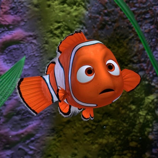 AQUARIUM DECOR