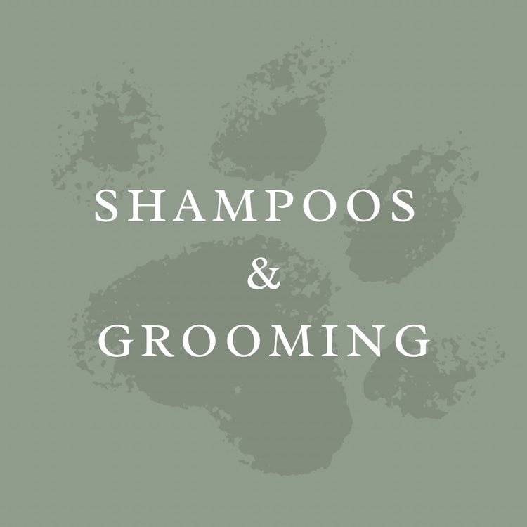 SHAMPOOS & CONDITIONERS