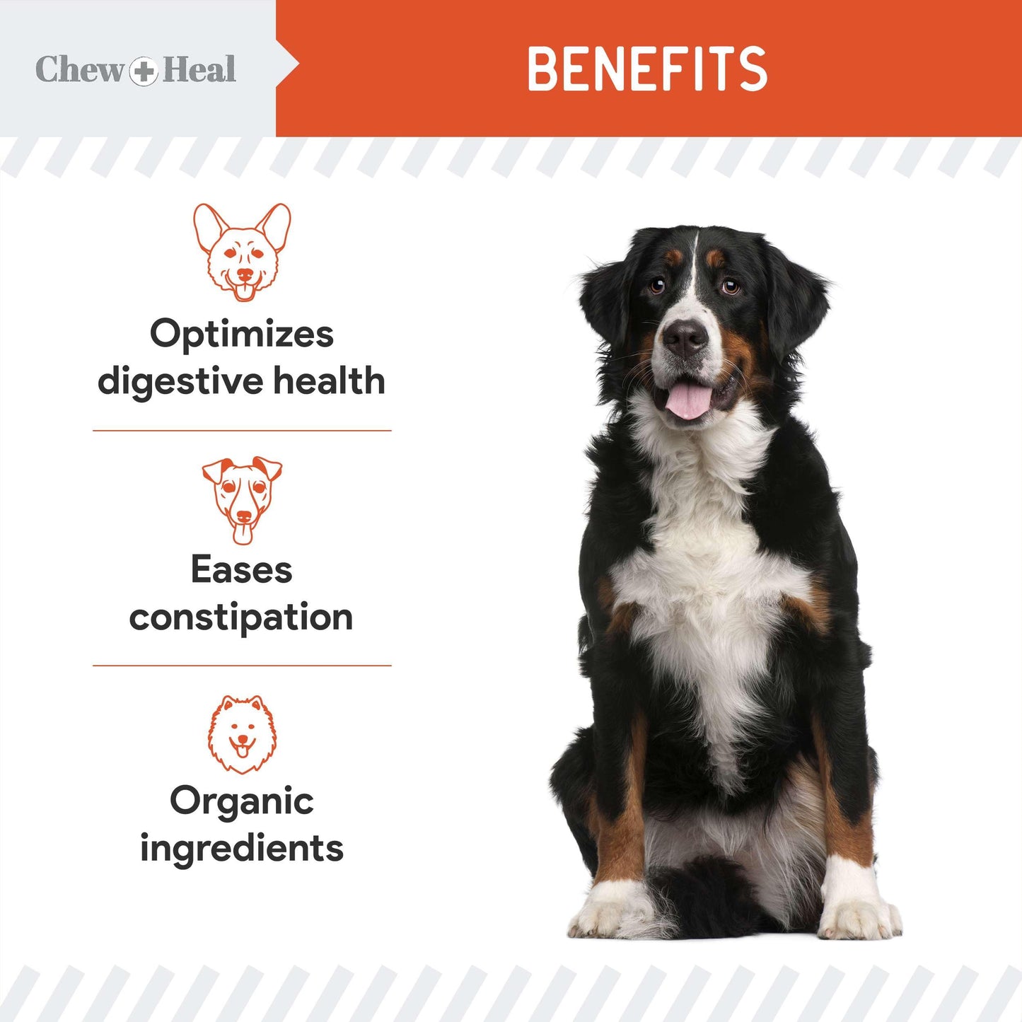 Organic Pumpkin Digestive Defense for Dogs 4oz