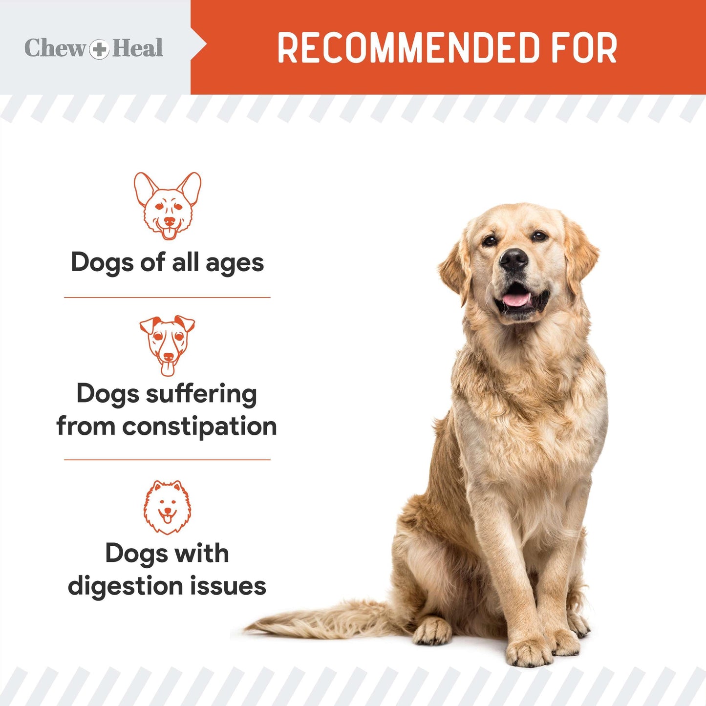 Organic Pumpkin Digestive Defense for Dogs 4oz