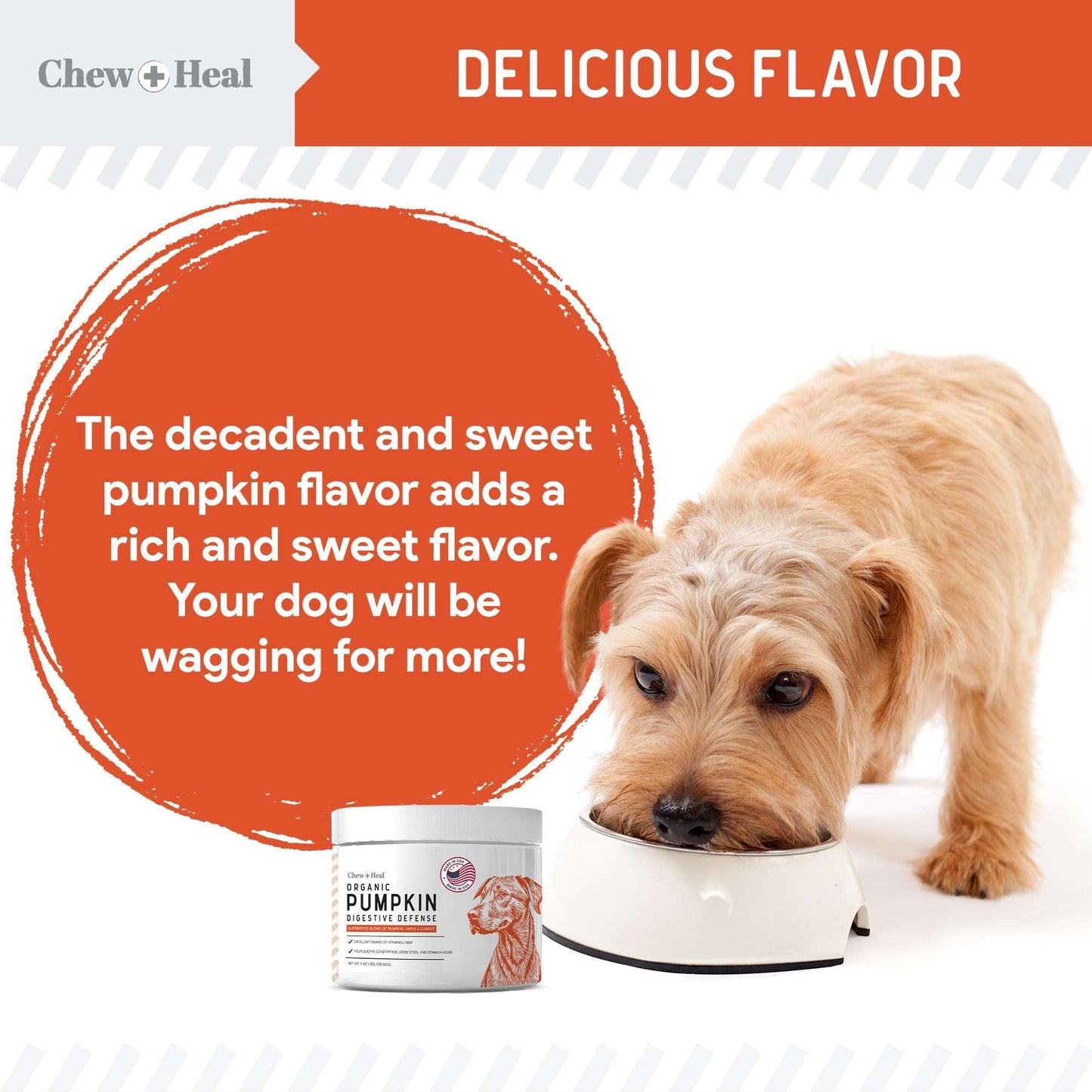 Organic Pumpkin Digestive Defense for Dogs 4oz