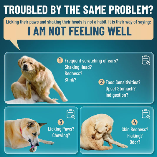 Natural Dog Yeast Infection Treatment for Dogs 60ml