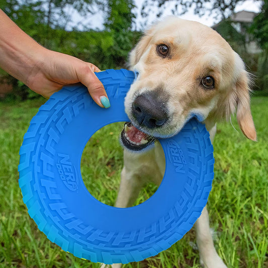 Nerf Dog Frisbee Flyer Toy