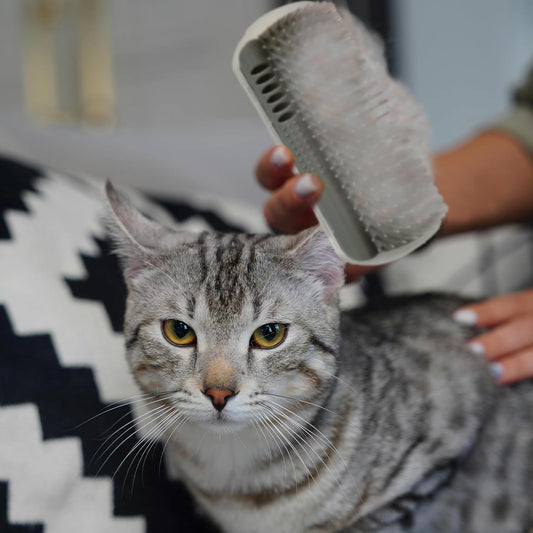 Cat Scratching Pad Board