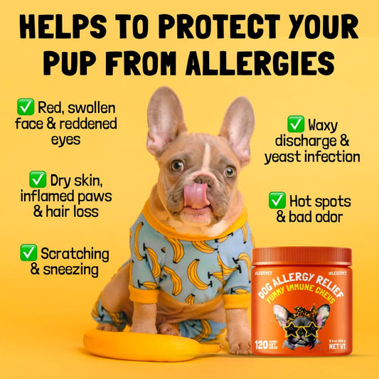 Allergy Relief Chews for Dogs & Immune & Digestive Supplement with Wild Salmon Oil Kelp Colostrum Turmeric Probiotics & Bee Pollen 120 Soft Treats