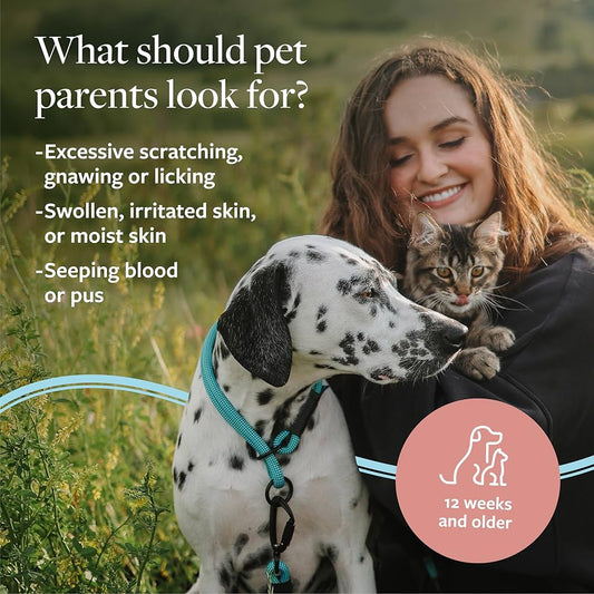 (2 Pack) Hot Spot & Itch Relief Shampoo 16fl oz