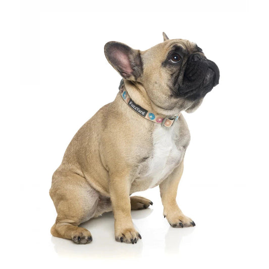 FUZZYARD Donut Dog Collar Large