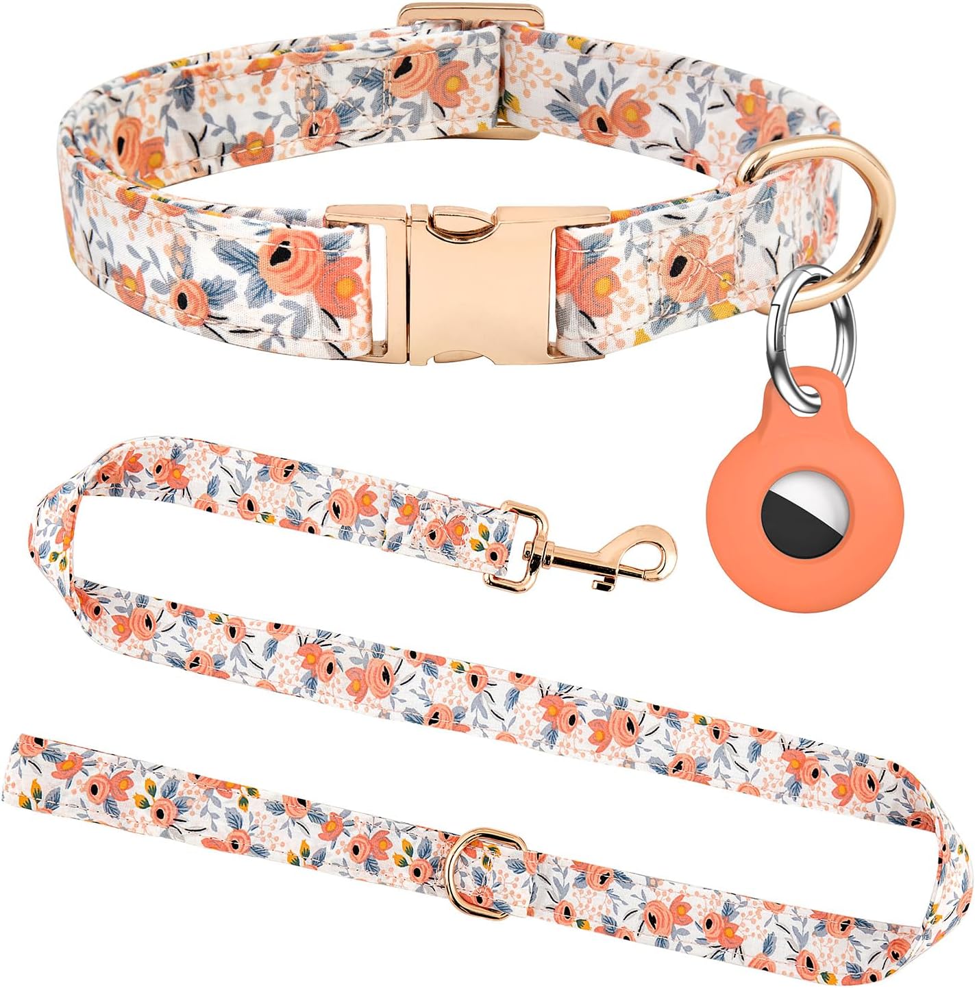Dog Collar and Leash Set with AirTag Holder