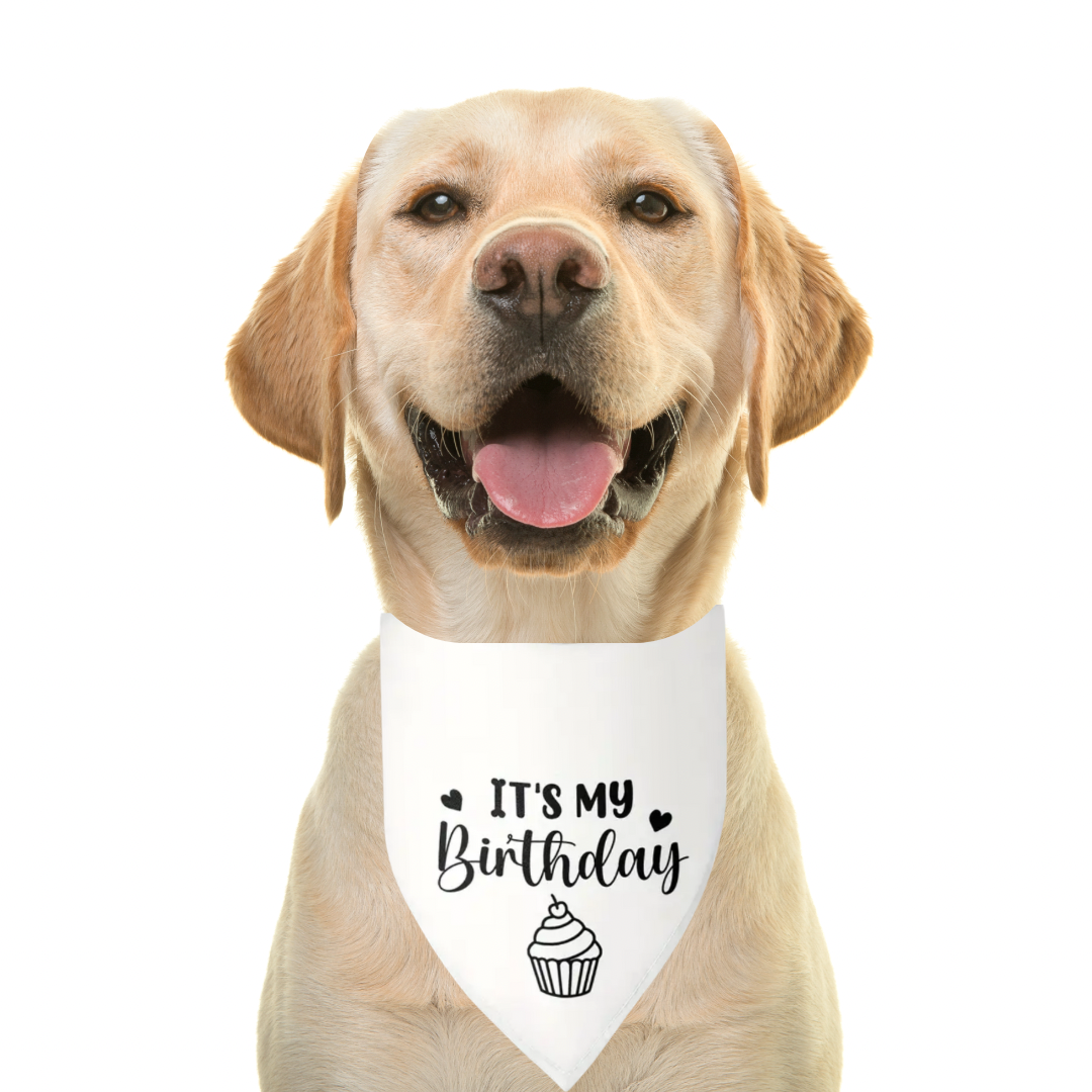 It’s My Birthday Dog Bandana