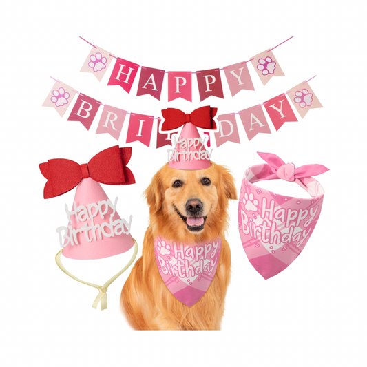 Happy Birthday Dog Kit