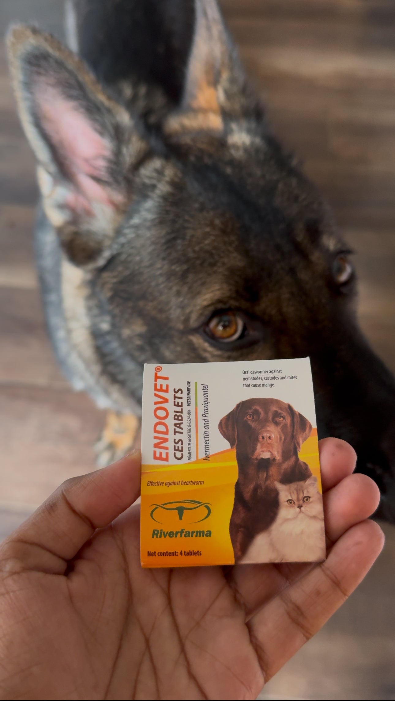 Endovet Oral Dewormers 1 pack