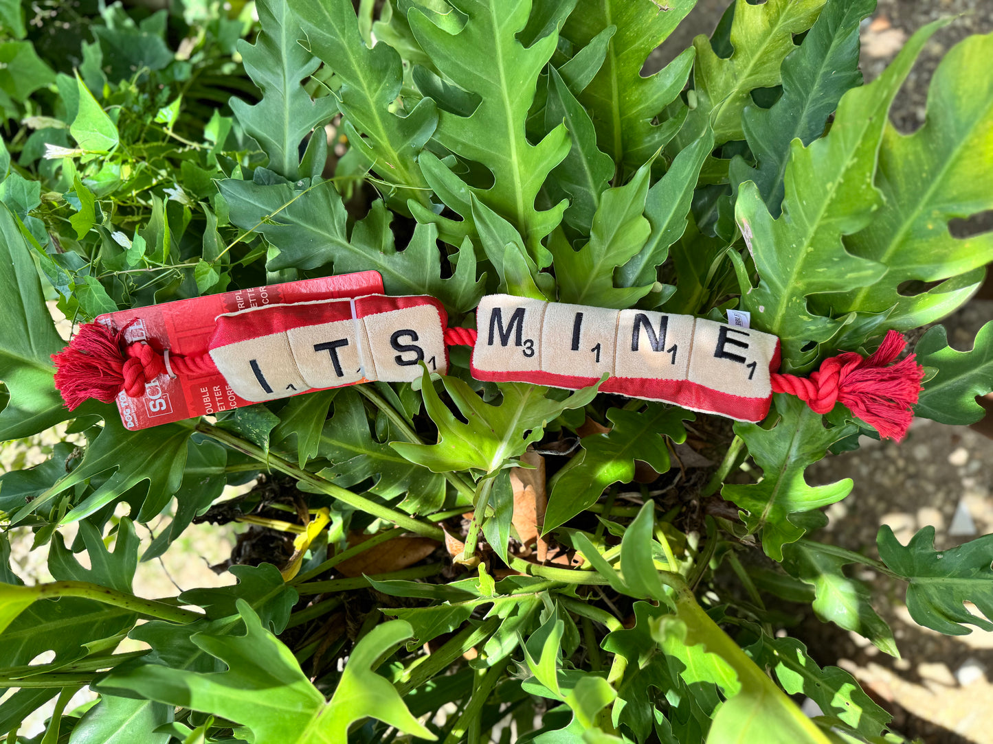 Hasbro Squeak & Crinkle Scrabble Dog Toy Valentines Day Edition