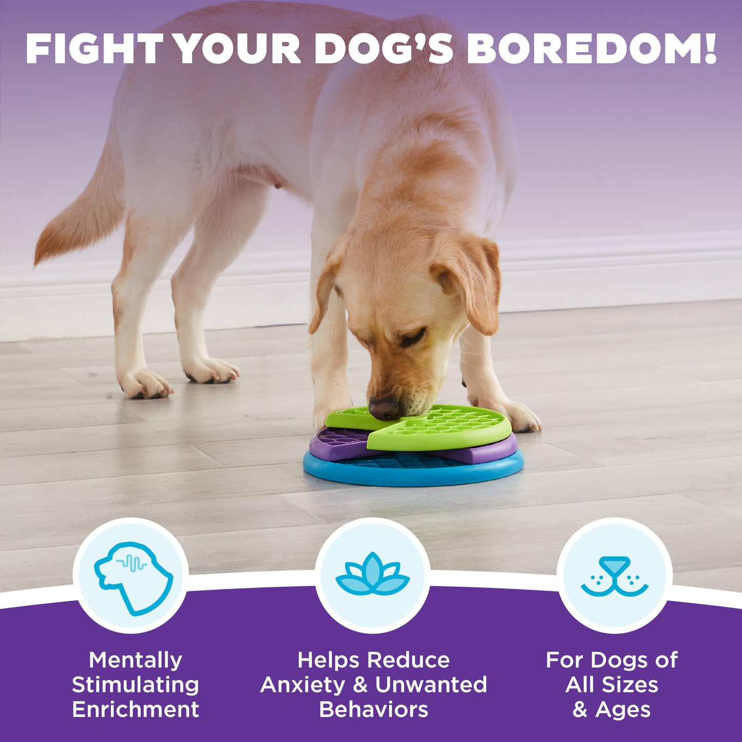 Outward Hound by Nina Ottosson Lickin' Layers Dog Puzzle Feeder, Level 2 Enrichment Dog Toy, Multicolored