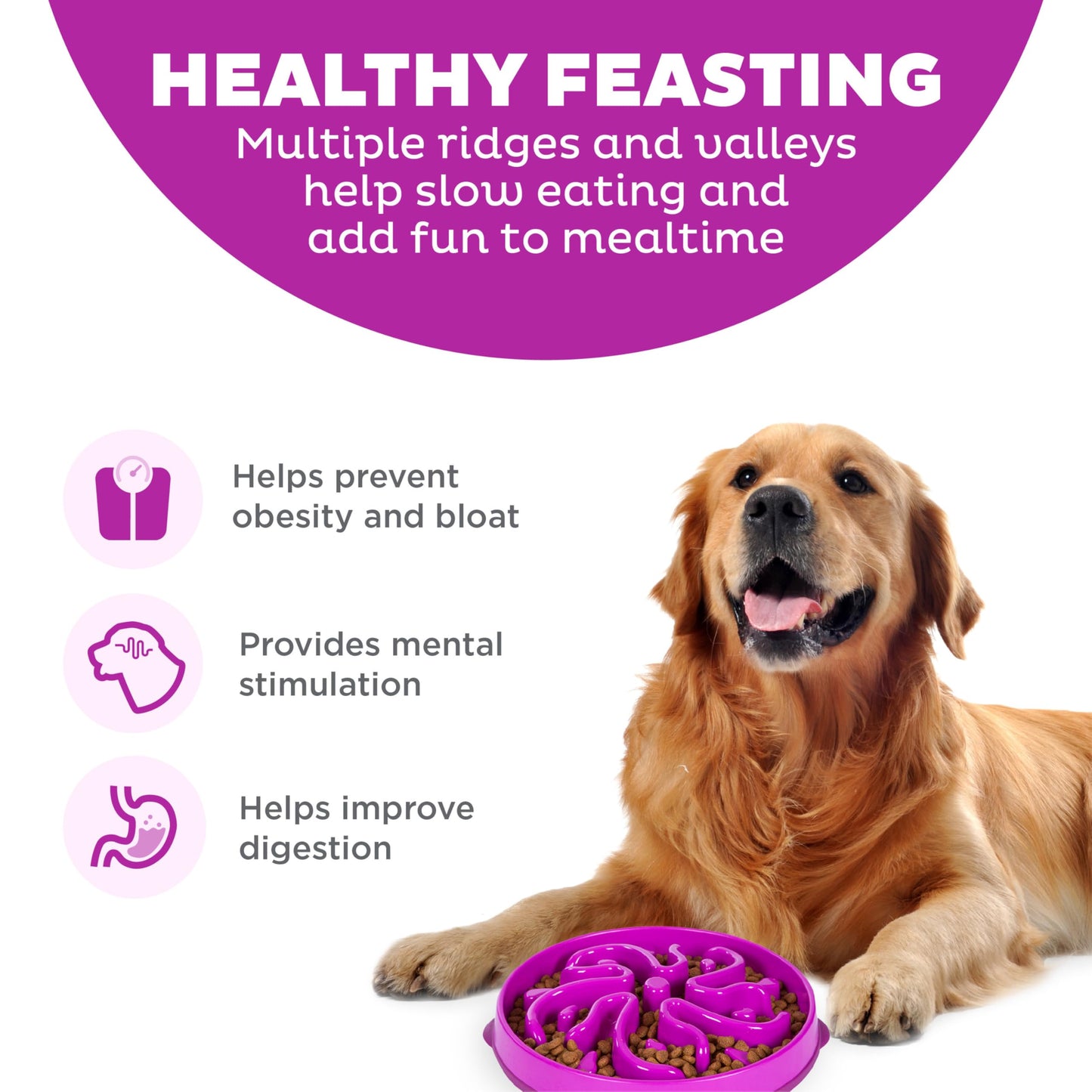 OUTWARD Hound Fun Feeder SLO Bowl