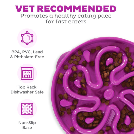 OUTWARD HOUND Fun Feeder SLO Bowl Large