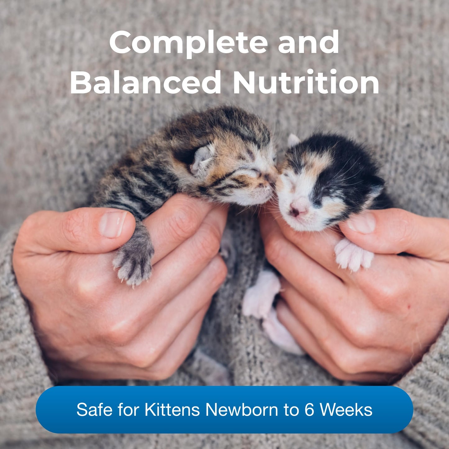PET AG Milk Replacer Plus Powder for Cats& Kittens 10.5 oz