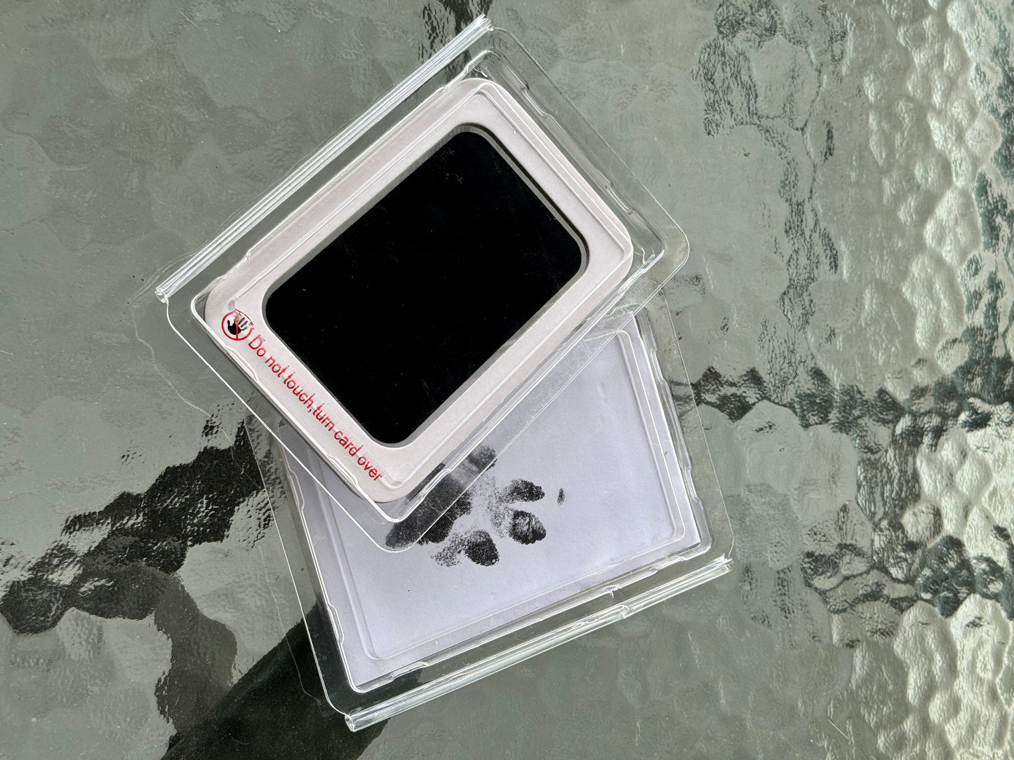 Pet Paw Print Kit