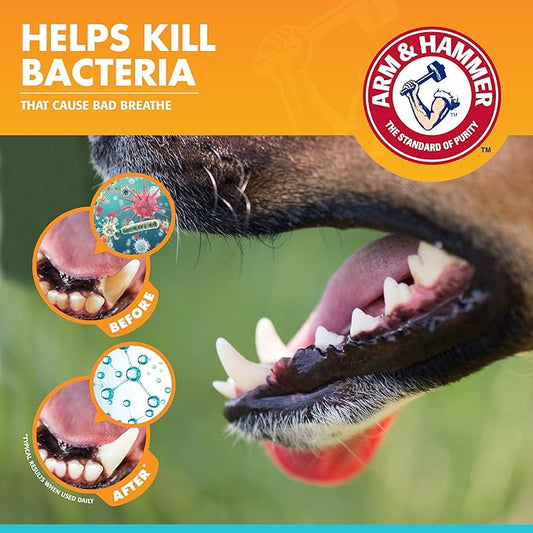 Arm & Hammer for Pets Tartar Control Dental Kit 3pcs
