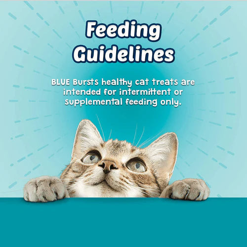 Blue Bursts CRUNCHY AND CREAMY CAT TREATS Savory Seafood 2 oz