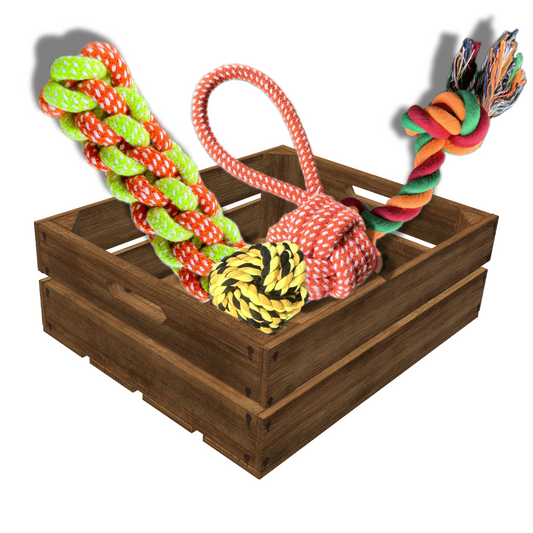 4 pc Rope Chew Set