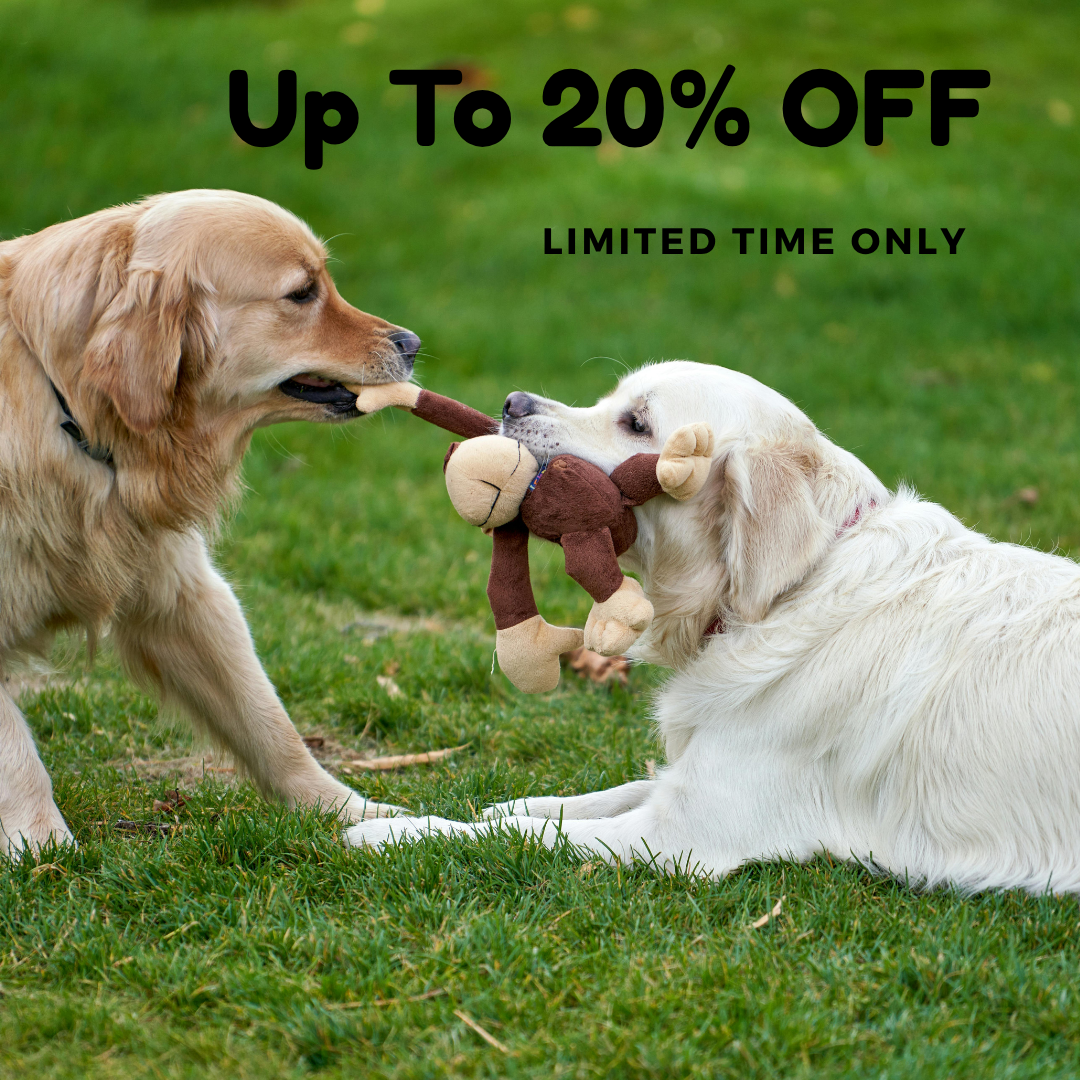 Up to 20% OFF