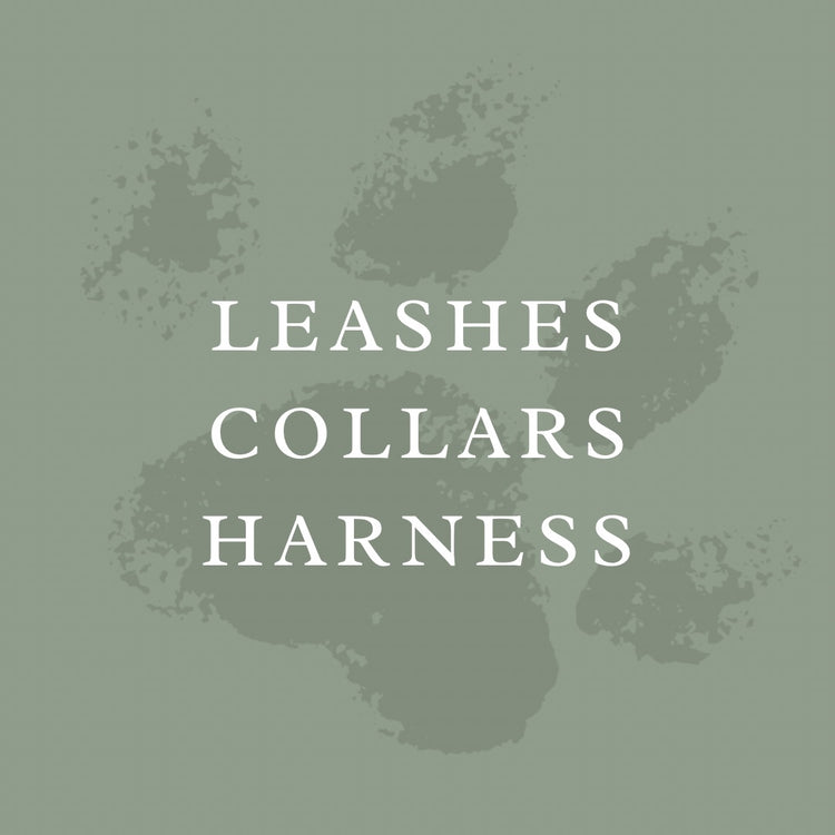 LEASHES & COLLARS