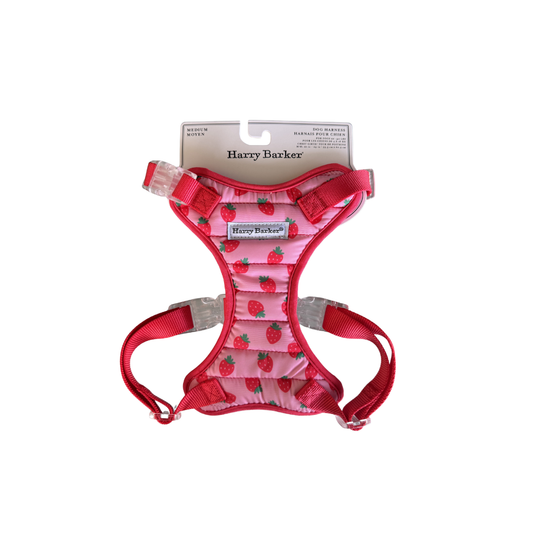 Harry Barker Strawberry Medium Dog Harness