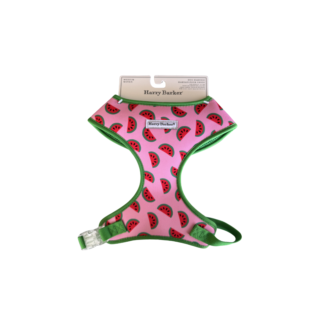 Harry Barker Watermelon Dog Harness Medium