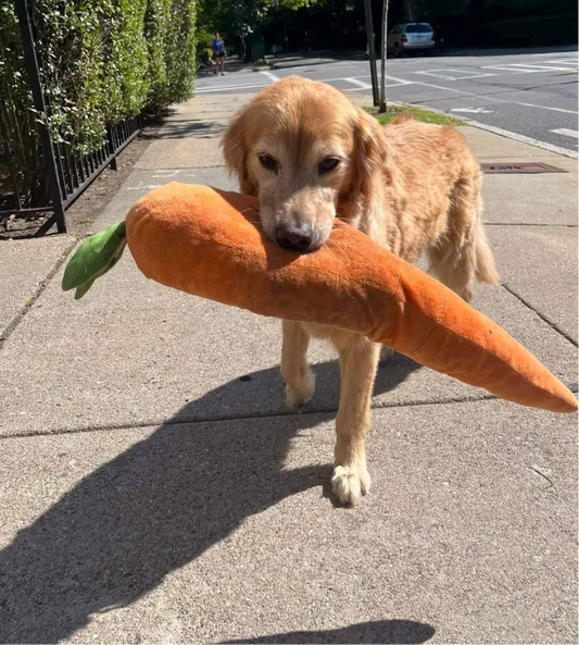 Giant Easter Carrot Plush Dog Toy, Pet Lou