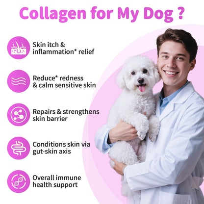 Liquid Collagen for Dogs Skin Comfort & Calming, Dog Itch Relief & Anti-Scratching & Coat Supplement with Biotin 2fl oz