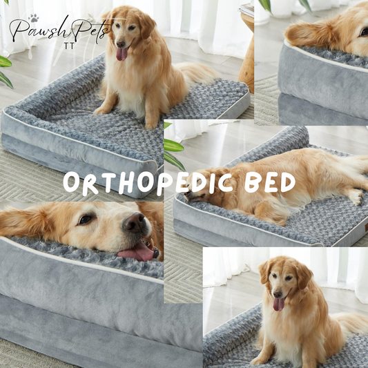 Large Orthopaedic Dog Bed