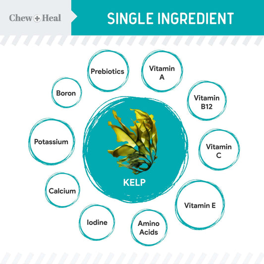 Organic Kelp Marine Superfood for Dogs