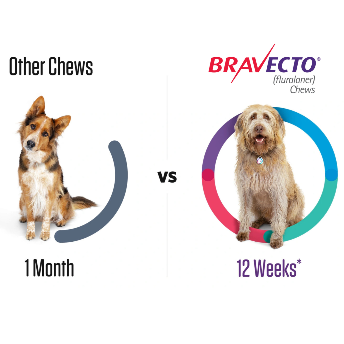 Bravecto Dog Chews