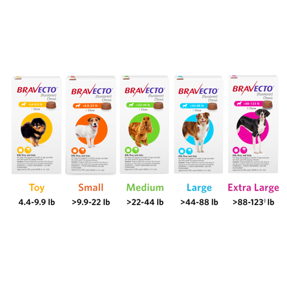 Bravecto Dog Chews