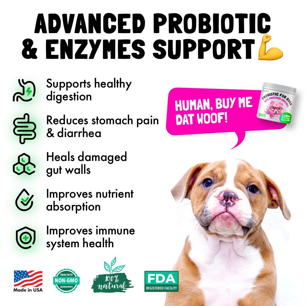 Probiotics for Dogs Natural Digestive Enzymes 120 Soft Chews