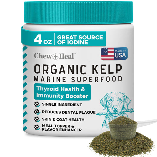 Organic Kelp Marine Superfood for Dogs