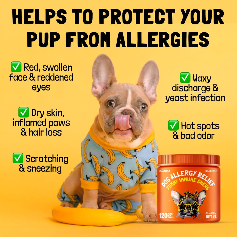 Allergy Relief Chews for Dogs & Immune & Digestive Supplement with Wild Salmon Oil Kelp Colostrum Turmeric Probiotics & Bee Pollen 120 Soft Treats