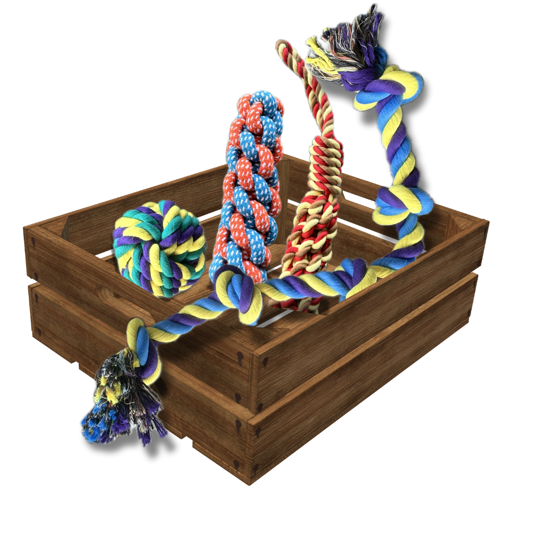4 pc Rope Chew Set