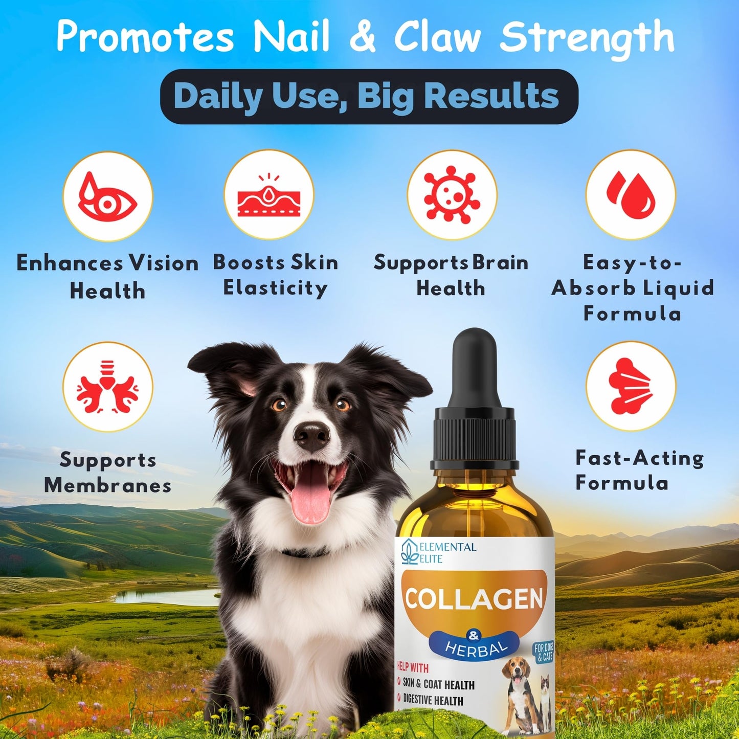 Liquid Collagen for Dogs and Cats 30ml