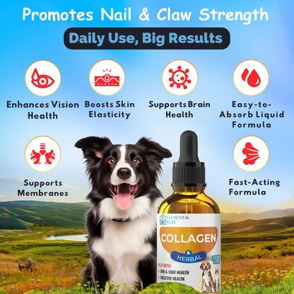 Liquid Collagen for Dogs and Cats 30ml