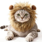 Lion Mane Costume for Cats
