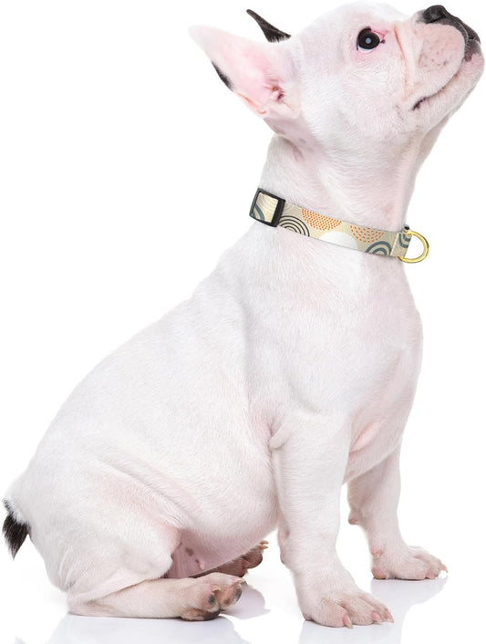 Bohemian Dog Collar