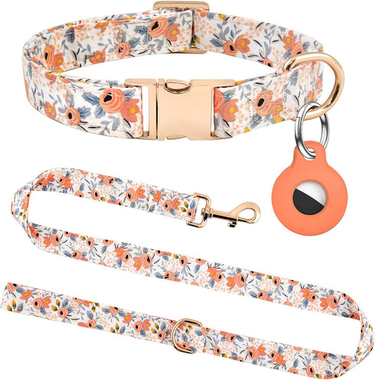 Dog Collar and Leash Set with AirTag Holder