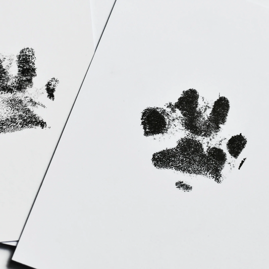 Pet Paw Print Kit