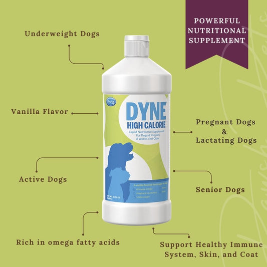 Dyne High Calorie Supplement