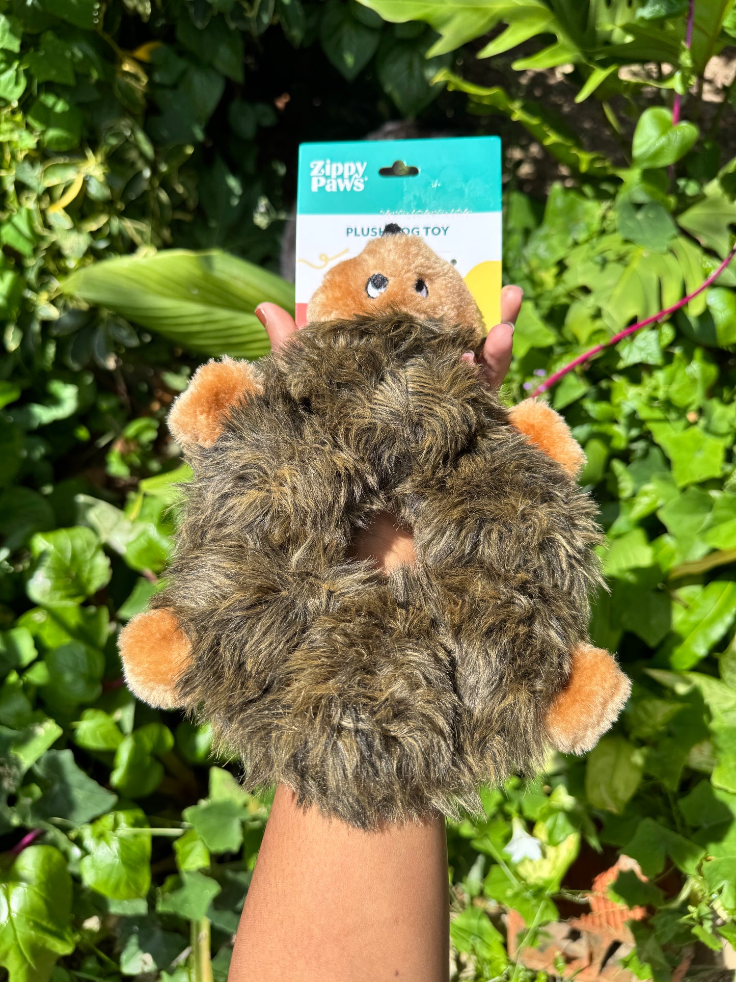 Zippy Paws Hedgehog Dog Toy