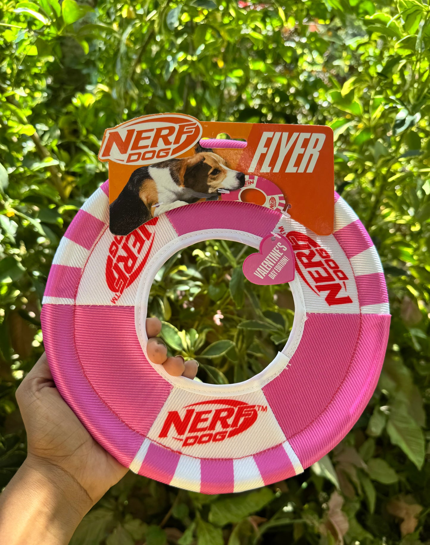 Nerf Dog Flyer Frisbee Valentines Day Limited Edition