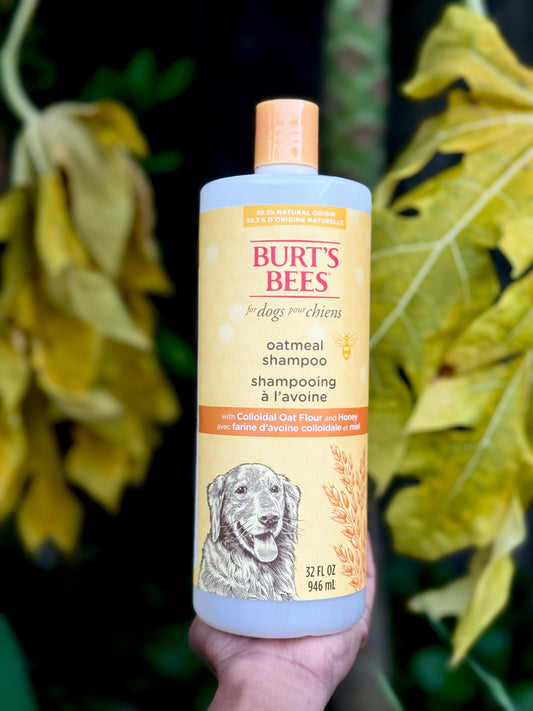BURT BEES’S for Dogs Naturally Derived Oatmeal Shampoo with Colloidal Oat Flour and Honey 32 oz