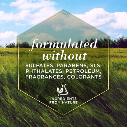 BURT BEES’S for Dogs Naturally Derived Oatmeal Shampoo with Colloidal Oat Flour and Honey 32 oz