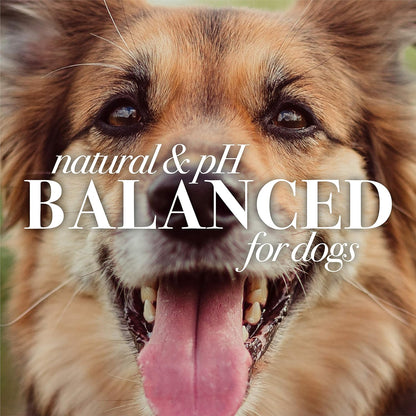 BURT BEES’S for Dogs Naturally Derived Oatmeal Shampoo with Colloidal Oat Flour and Honey 32 oz